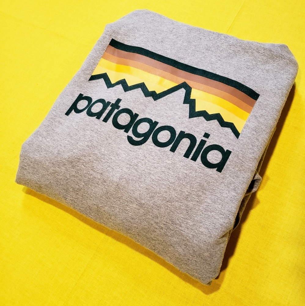 Patagonia Hoodie Medium Rare Colorway